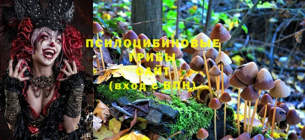 мдпв Богородицк