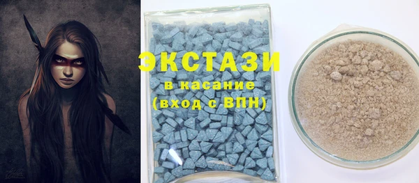 мдпв Богородицк